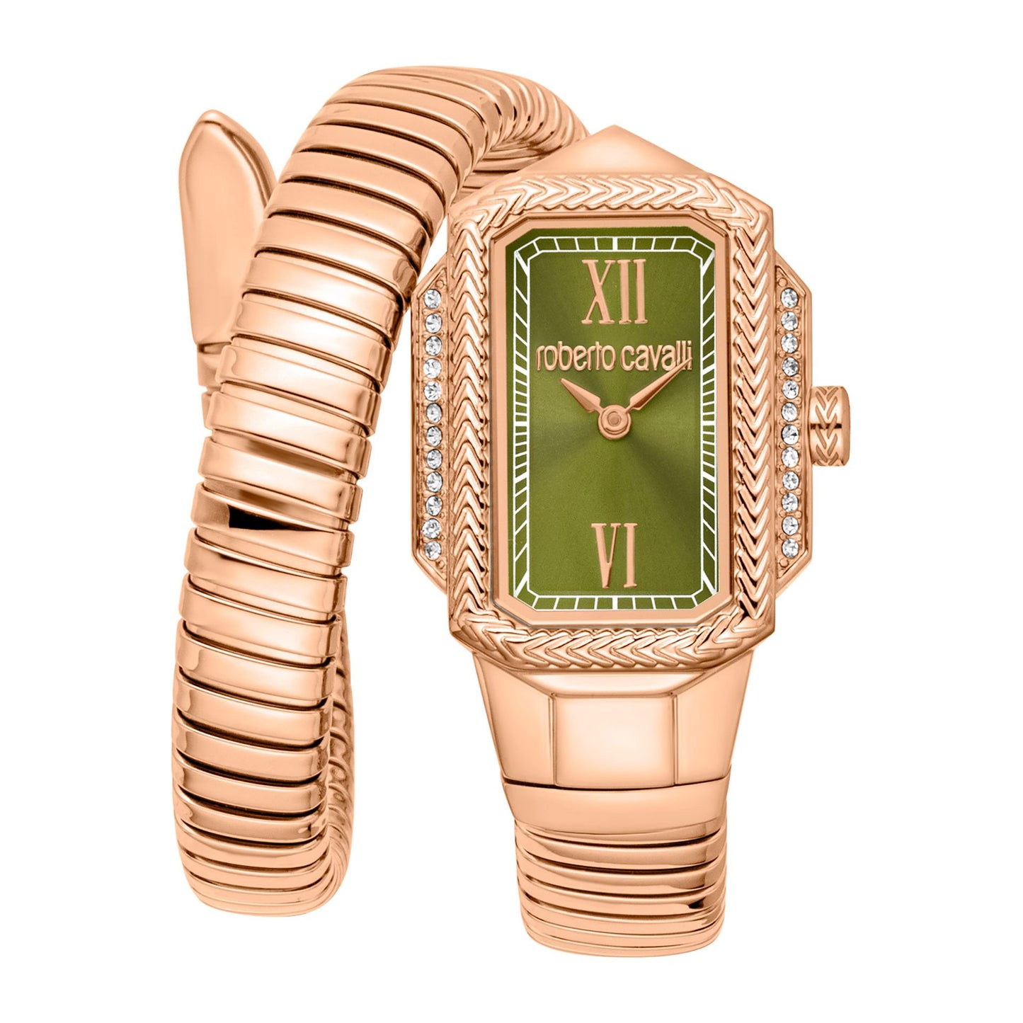Roberto Cavalli Montres - Tendance